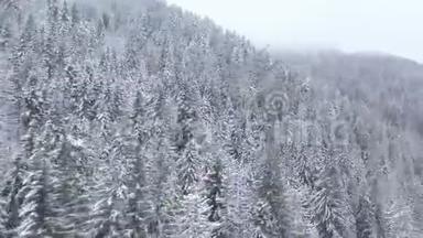 飞越暴风雪的雪山针叶林，多雾不友好的冬季天气。 加速视频
